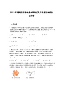 2025年湖南省初中学业水平考试九年级下数学模拟仿真卷（含答案解析）