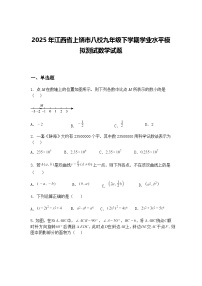 2025年江西省上饶市八校九年级下学期学业水平模拟测试数学试题（含答案解析）