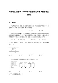 河南省实验中学2025年中招四模九年级下数学模拟试题（含答案解析）