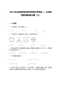 2025年山东省青岛市初中学业水平考试——九年级下数学模拟练习卷（七）（含答案解析）
