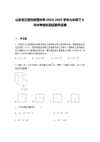 山东省日照市新营中学2024-2025学年九年级下6月中考模拟测试数学试卷（含答案解析）