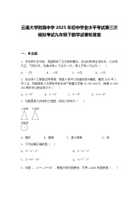 云南大学附属中学2025年初中学业水平考试第三次模拟考试九年级下数学试卷和答案（含答案解析）