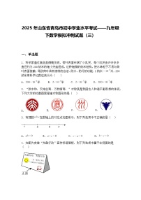 2025年山东省青岛市初中学业水平考试——九年级下数学模拟冲刺试题（三）（含答案解析）
