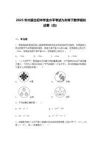 2025年内蒙古初中学业水平考试九年级下数学模拟试卷（白）（含答案解析）