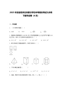 2025年安徽省淮北市部分学校中考模拟考试九年级下数学试卷（6月）（含答案解析）