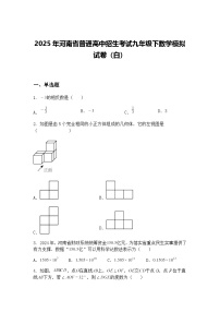 2025年河南省普通高中招生考试九年级下数学模拟试卷（白）（含答案解析）