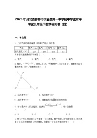 2025年河北省邯郸市大名县第一中学初中学业水平考试九年级下数学模拟卷（四）（含答案解析）