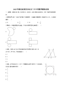 2025年湖北省黄冈市红安二中中考数学模拟试卷-自定义类型