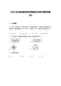 2025年山东省青岛市中考模拟九年级下数学试卷（五）（含答案解析）