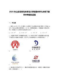 2025年山东省青岛市青岛大学附属中学九年级下数学中考模拟试题（含答案解析）