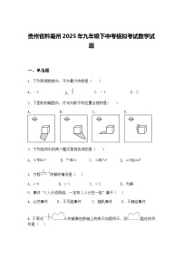 贵州省黔南州2025年九年级下中考模拟考试数学试题（含答案解析）