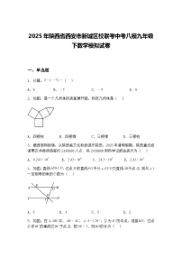 2025年陕西省西安市新城区校联考中考八模九年级下数学模拟试卷（含答案解析）