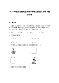 2025年黑龙江省哈尔滨市中考模拟试题九年级下数学试卷（含答案解析）