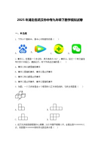 2025年湖北省武汉市中考九年级下数学模拟试卷（含答案解析）