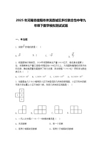 2025年河南省信阳市淮滨县城区多校联合性中考九年级下数学模拟测试试题（含答案解析）