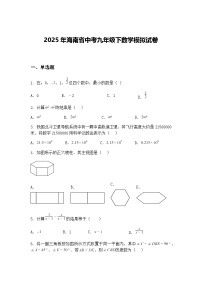2025年海南省中考九年级下数学模拟试卷（含答案解析）
