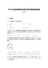 2025年山东省青岛市中考九年级下数学模拟试卷（一）（含答案解析）
