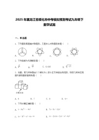2025年黑龙江省绥化市中考模拟预测考试九年级下数学试题（含答案解析）