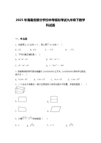 2025年海南省部分学校中考模拟考试九年级下数学科试题（含答案解析）