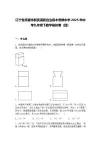 辽宁省抚顺市新宾满族自治县木奇镇中学2025年中考九年级下数学模拟卷（四）（含答案解析）