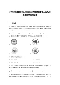 2025年湖北省武汉市武昌区拼搏联盟中考五调九年级下数学模拟试卷（含答案解析）