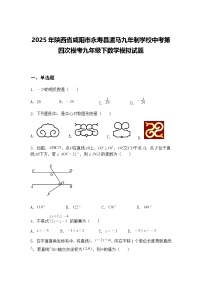 2025年陕西省咸阳市永寿县渡马九年制学校中考第四次模考九年级下数学模拟试题（含答案解析）