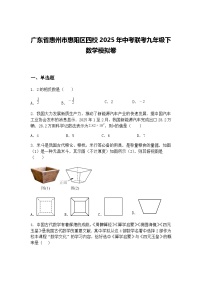 广东省惠州市惠阳区四校2025年中考联考九年级下数学模拟卷（含答案解析）