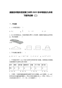 湖南省祁阳市浯溪第三中学2025年中考模拟九年级下数学试卷（二）（含答案解析）