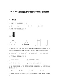 2025年广东省信宜市中考模拟九年级下数学试卷（含答案解析）