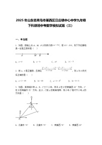 2025年山东省青岛市莱西区日庄镇中心中学九年级下科创班中考数学模拟试题（三）（含答案解析）