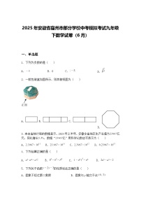 2025年安徽省宿州市部分学校中考模拟考试九年级下数学试卷（6月）（含答案解析）