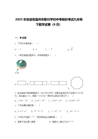 2025年安徽省宿州市部分学校中考模拟考试九年级下数学试卷（6月）（含答案解析）