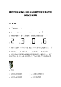 黑龙江省哈尔滨市2025年九年级下学期学业水平模拟测试数学试卷（含答案解析）