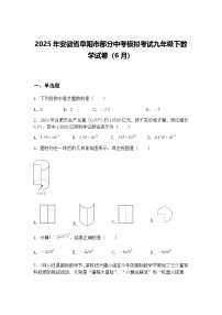 2025年安徽省阜阳市部分中考模拟考试九年级下数学试卷（6月）（含答案解析）