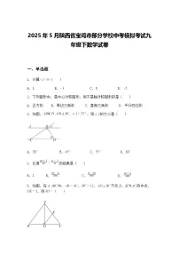 2025年5月陕西省宝鸡市部分学校中考模拟考试九年级下数学试卷（含答案解析）