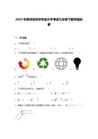2025年贵州省初中学业水平考试九年级下数学模拟卷（含答案解析）