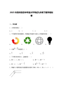 2025年贵州省初中学业水平考试九年级下数学模拟卷（含答案解析）