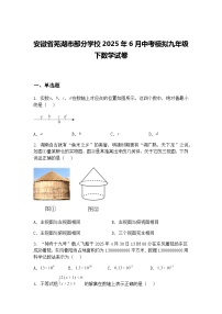 安徽省芜湖市部分学校2025年6月中考模拟九年级下数学试卷（含答案解析）