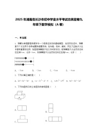 2025年湖南省长沙市初中学业水平考试仿真密卷九年级下数学模拟（A卷）（含答案解析）