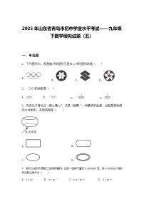 2025年山东省青岛市初中学业水平考试——九年级下数学模拟试题（五）（含答案解析）