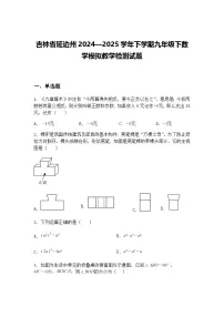 吉林省延边州2024—2025学年下学期九年级下数学模拟教学检测试题（含答案解析）