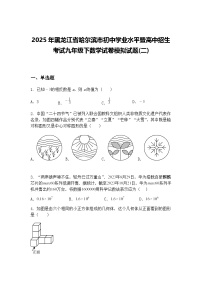 2025年黑龙江省哈尔滨市初中学业水平暨高中招生考试九年级下数学试卷模拟试题(二)（含答案解析）