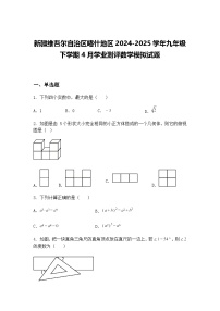 新疆维吾尔自治区喀什地区2024-2025学年九年级下学期4月学业测评数学模拟试题（含答案解析）
