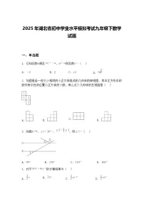 2025年湖北省初中学业水平模拟考试九年级下数学试题（含答案解析）