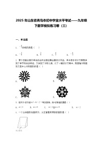 2025年山东省青岛市初中学业水平考试——九年级下数学模拟练习卷（三）（含答案解析）