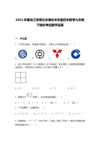 2025年黑龙江省绥化市海伦市市直初中联考九年级下模拟考试数学试题（含答案解析）