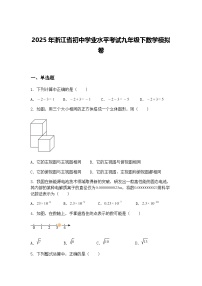 2025年浙江省初中学业水平考试九年级下数学模拟卷（含答案解析）