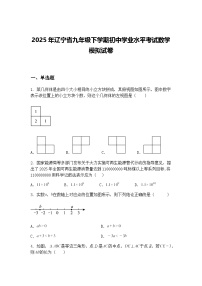 2025年辽宁省九年级下学期初中学业水平考试数学模拟试卷（含答案解析）