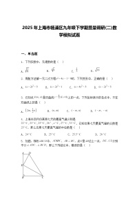 2025年上海市杨浦区九年级下学期质量调研(二)数学模拟试题（含答案解析）