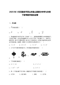 2025年3月河南省平顶山市鲁山县部分中学九年级下联考数学模拟试卷（含答案解析）